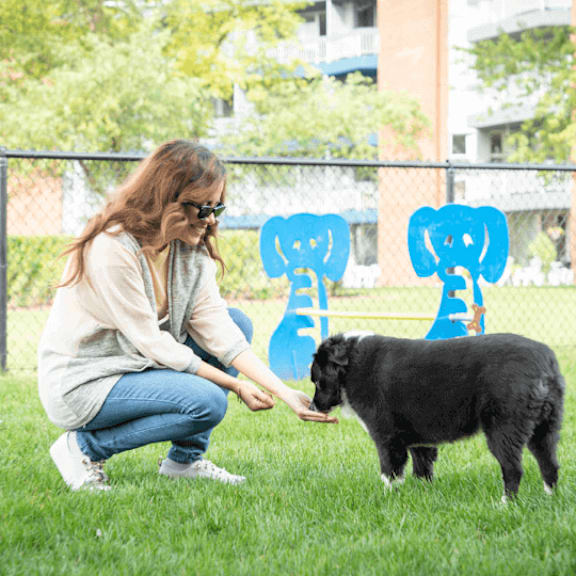 a woman kneels down to feed a small black dog at the township at st. charles, st. charles, illinois
