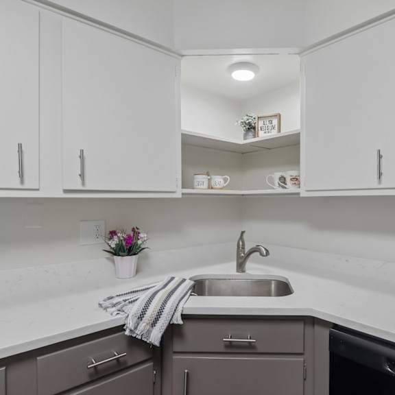 a kitchen with a white sink and cabinets.