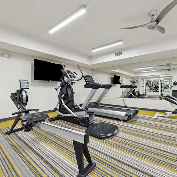 a gym with a variety of equipment including treadmills, weights, and a television.