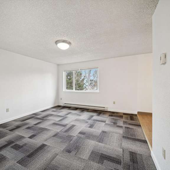 a room with a carpeted floor and a window.