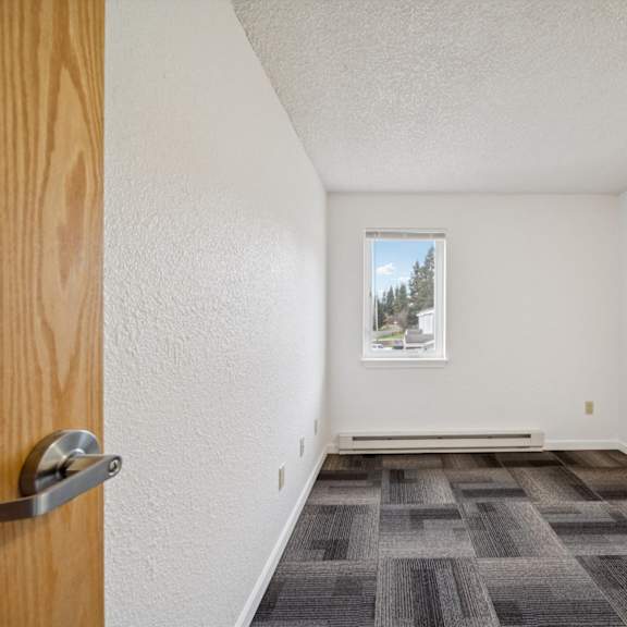 a room with a grey carpet and a window showing trees outside.