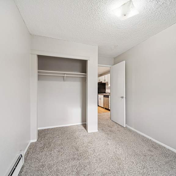 a room with a carpeted floor and a closet with a door open.