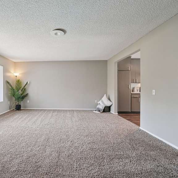 a room with a carpet, a plant, and a window with blinds.