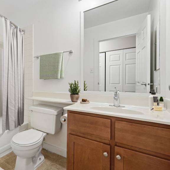 a white toilet sits next to a white bathtub in a bathroom.