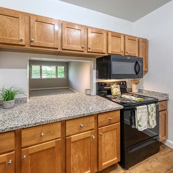a kitchen with granite countertops and wooden cabinets. at oak park city, oak park illinois