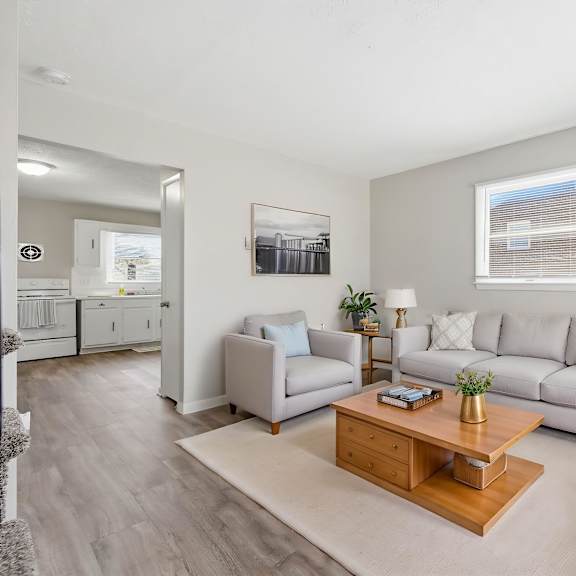a living room with a grey sofa, a wooden coffee table, and a grey rug.