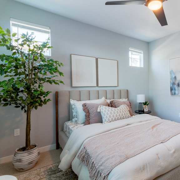 a bedroom with a large bed and a ceiling fan.