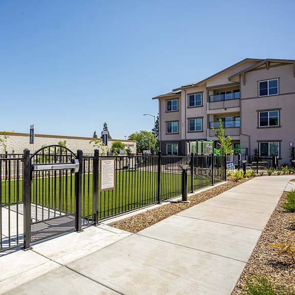 a black gate surrounding the dog park
