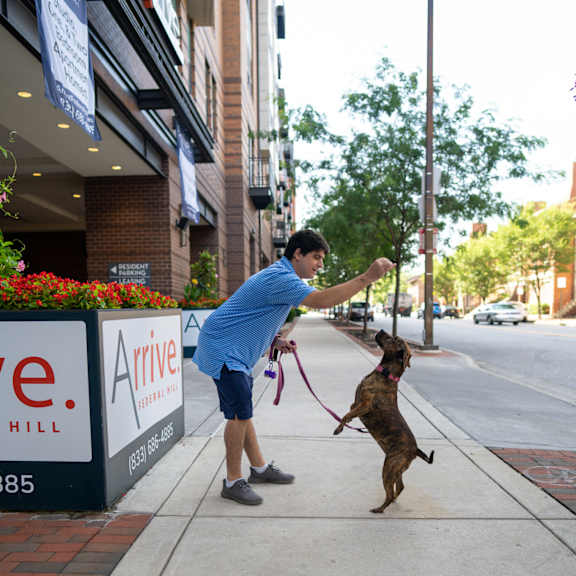 a man is playing with a dog on a sidewalk.