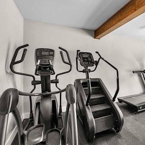 a room with a row of exercise bikes and a treadmill.