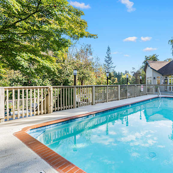 a small pool surrounded by a fence and trees.