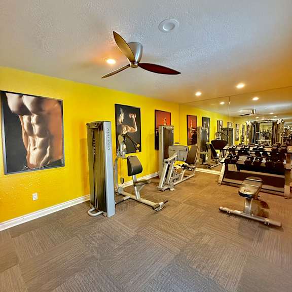 a gym with a variety of equipment including a treadmill, weights, and a bench press.