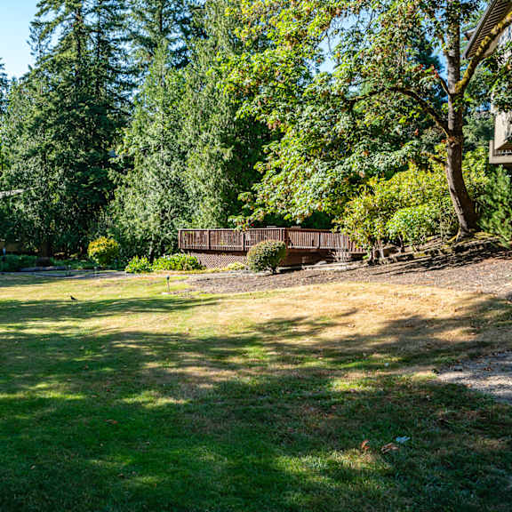 green lawn and trees at timberlee, oregon , 97221