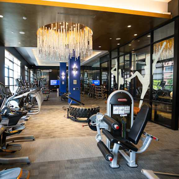 a gym with a variety of exercise equipment including treadmills, stationary bikes, and weight machines.