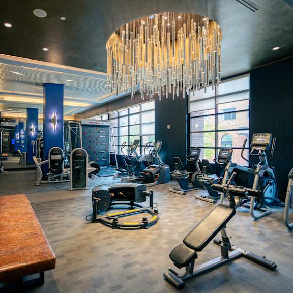 a gym with a variety of equipment including a bench, weights, and a treadmill.