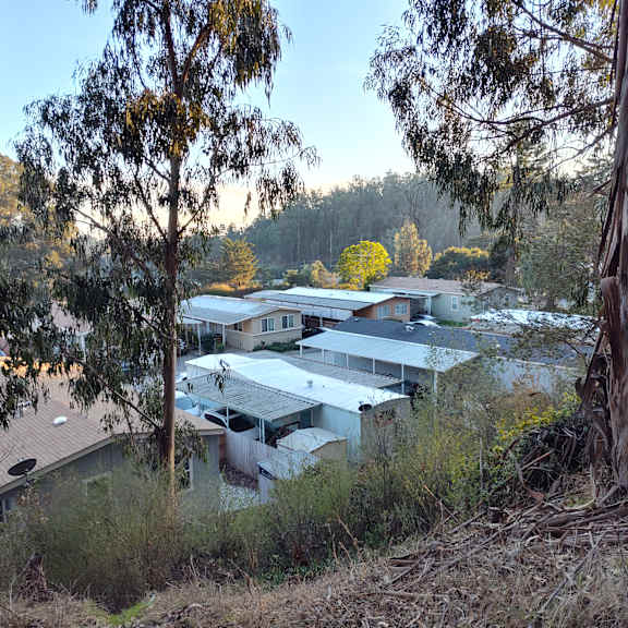 a view of homes and trees at salinas sunset apartments, salinas, ca, 93907
