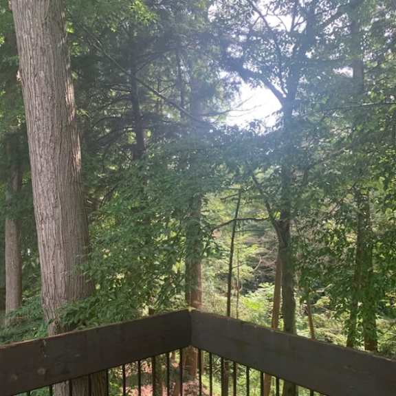 balcony with a railing overlooks a wooded area at little eagle bay apartments, burlington, vermont