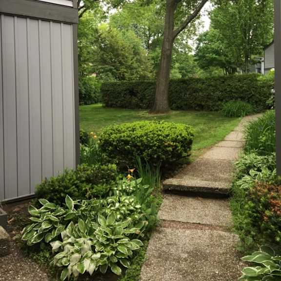 a garden path leads from a house to a tree at little eagle bay apartments, burlington, vt