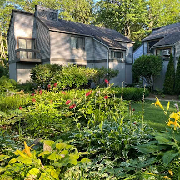a garden with a variety of plants and flowers in front of two houses.