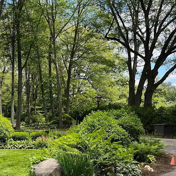 greenery surroundings at little eagle bay apartments, burlington
