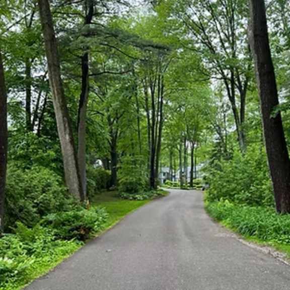 a tree-lined road stretches into the distance at little eagle bay apartments, vermont, 05408