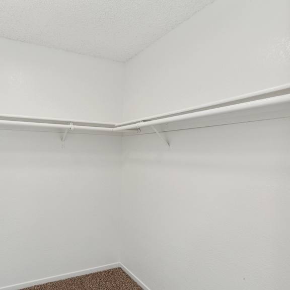 closet view at renew on summerfield, california