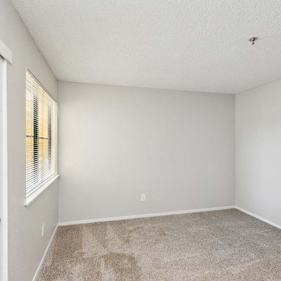 wall-to-wall carpeting at renew on summerfield, california