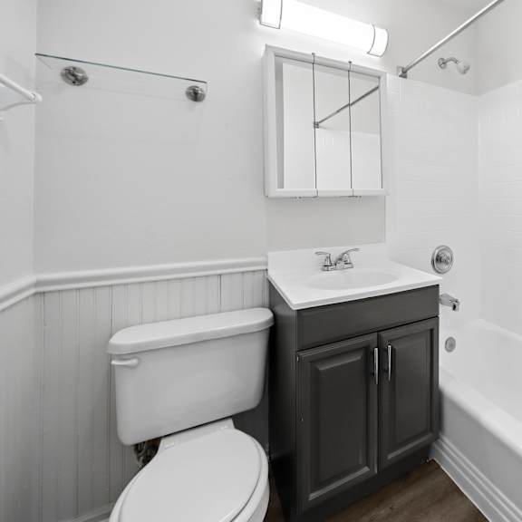 a white toilet sits next to a sink in a bathroom.