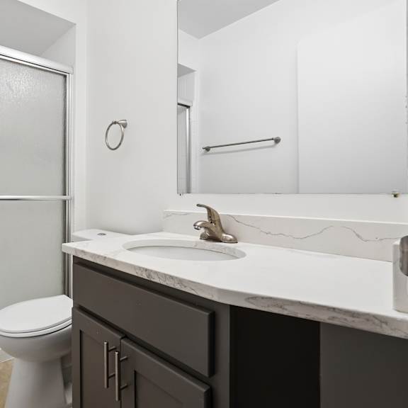 a white toilet sits next to a walk-in shower in a bathroom.