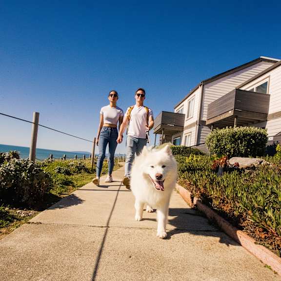 two people walking a white dog down a sidewalk