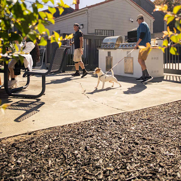 a man is standing on a patio with a dog
