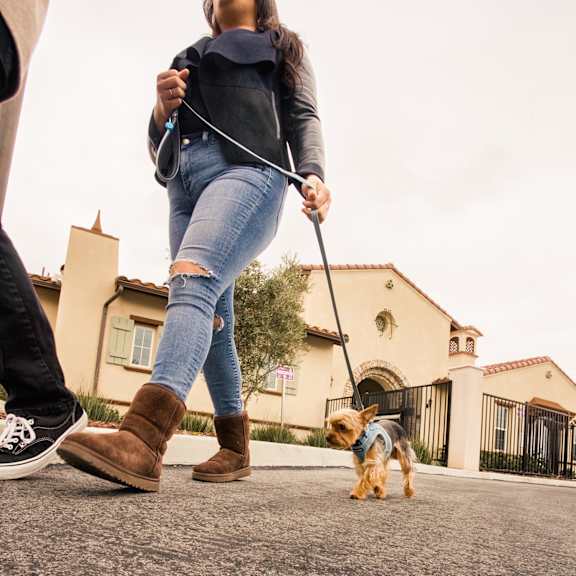 a woman walking a dog on a leash in the street