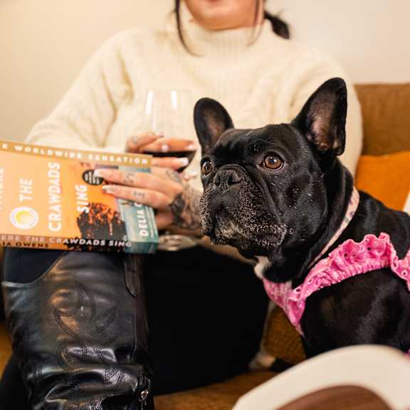 a woman sitting on a couch with her dog and reading a book