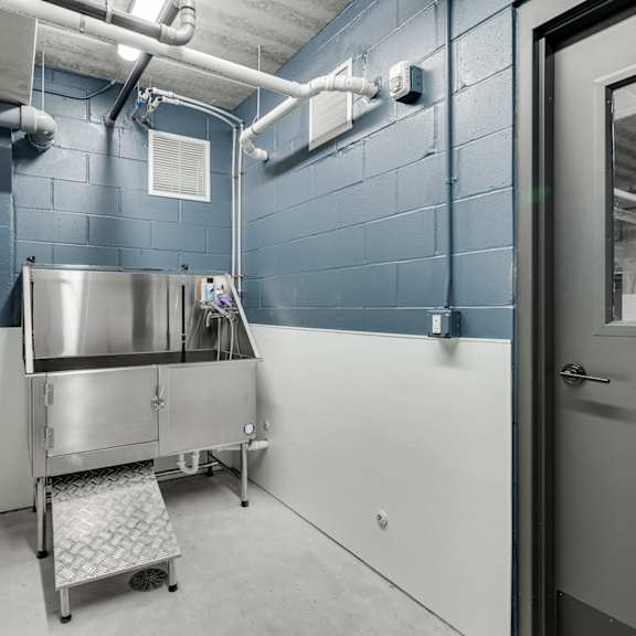 indoor pet washing station at the shale, minnesota, 55406