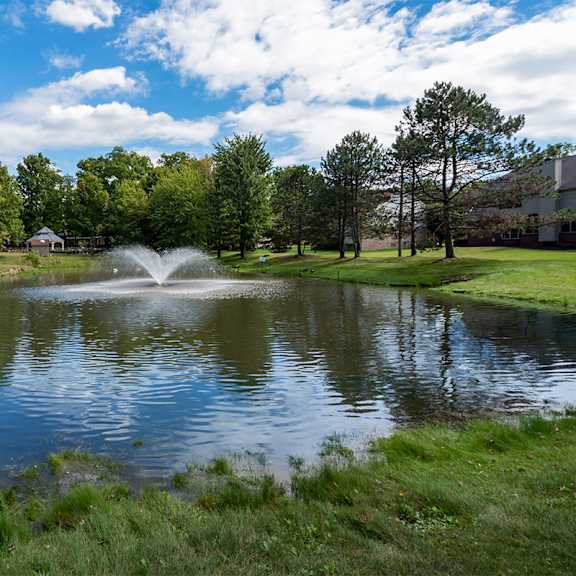 pond view at ascent at farmington hills, farmington hills