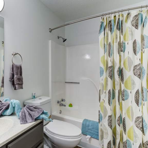 a bathroom with a shower toilet and sink