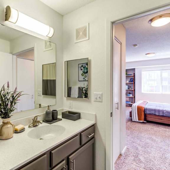 a bathroom with a sink and a mirror
