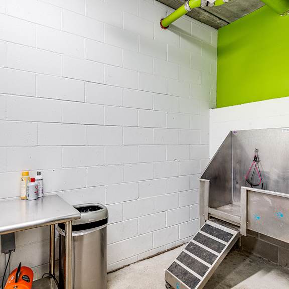 dog washing station at zest, minneapolis, mn, 55419