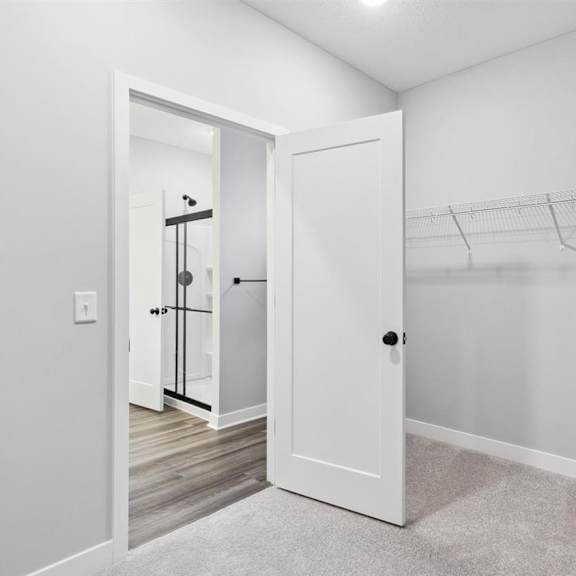a white door is open to a hallway with a carpeted floor.