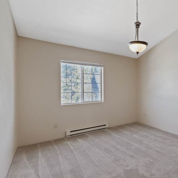 empty bedroom with carpet, chandler, and window.
