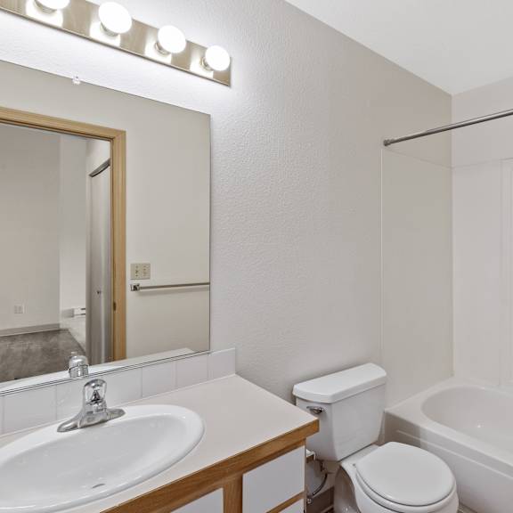 a bathroom with a shower toilet and sink and a mirror