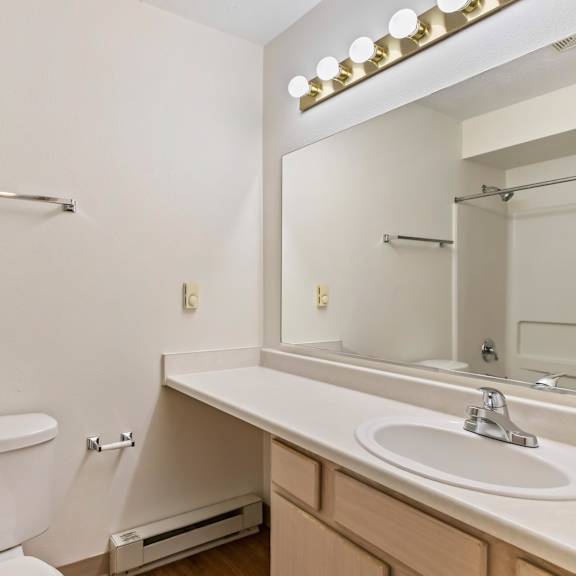 a bathroom with a toilet and a sink and a mirror