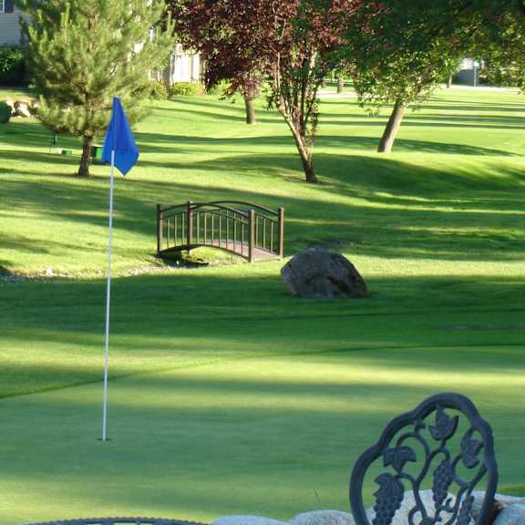 a blue flag on a golf course.