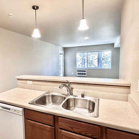 a kitchen with a white dishwasher and a double sink.