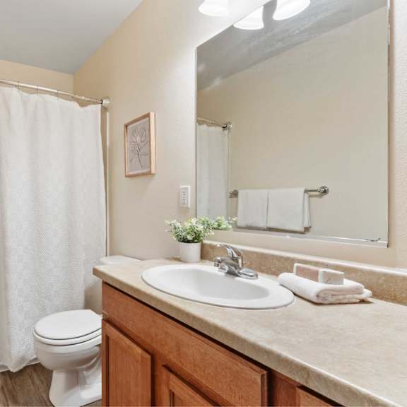 a bathroom with a toilet, sink, and shower.
