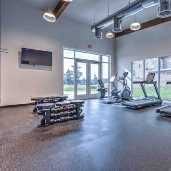 a gym with treadmills, elliptical machines, and a television.