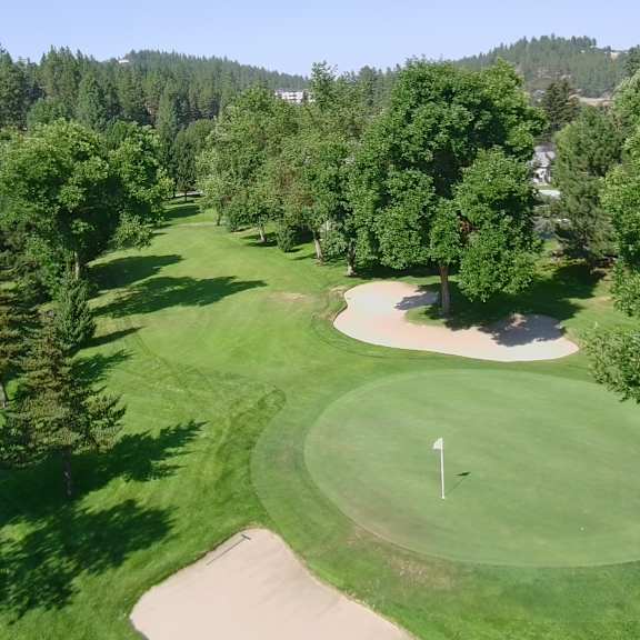 a golf course with a green and a white flag on it.
