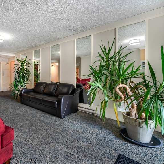 a living room with a red couch and a black couch.