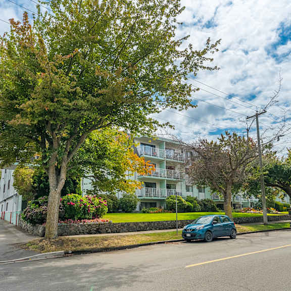 a tree with green leaves is in front of a white building.