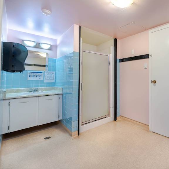 a bathroom with a sink, mirror, and shower.